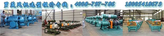 廣東用戶(hù)使用羅茨風(fēng)機(jī)批量照片