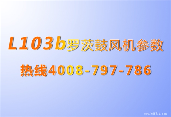 L系列羅茨風(fēng)機103b.jpg