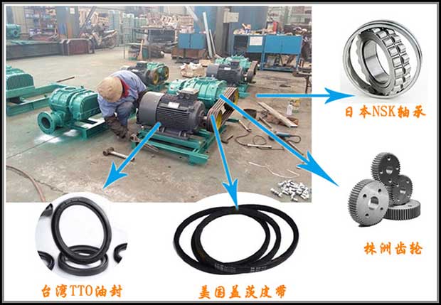 【面粉廠】脈沖風(fēng)機(jī)為什么要選擇華東？